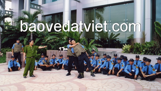 Bảo vệ Đất Việt huấn luyện võ thuật